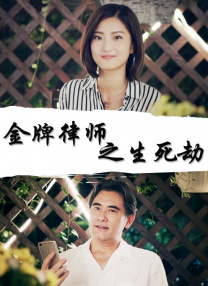 国产精品视屏